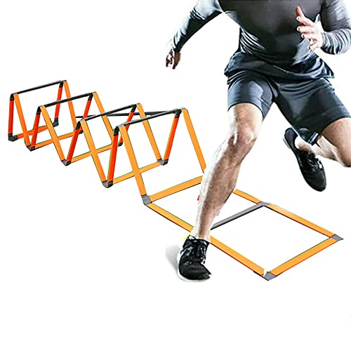 Agility Training Ladder
