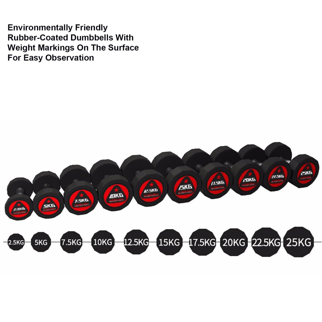 Rubber Hex Dumbbell Set with Rack