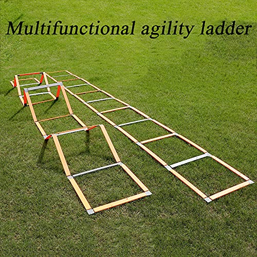 Agility Training Ladder