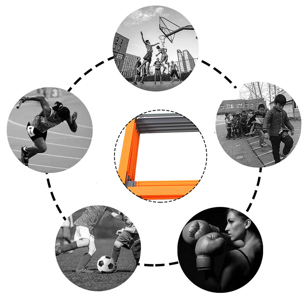 Agility Training Ladder