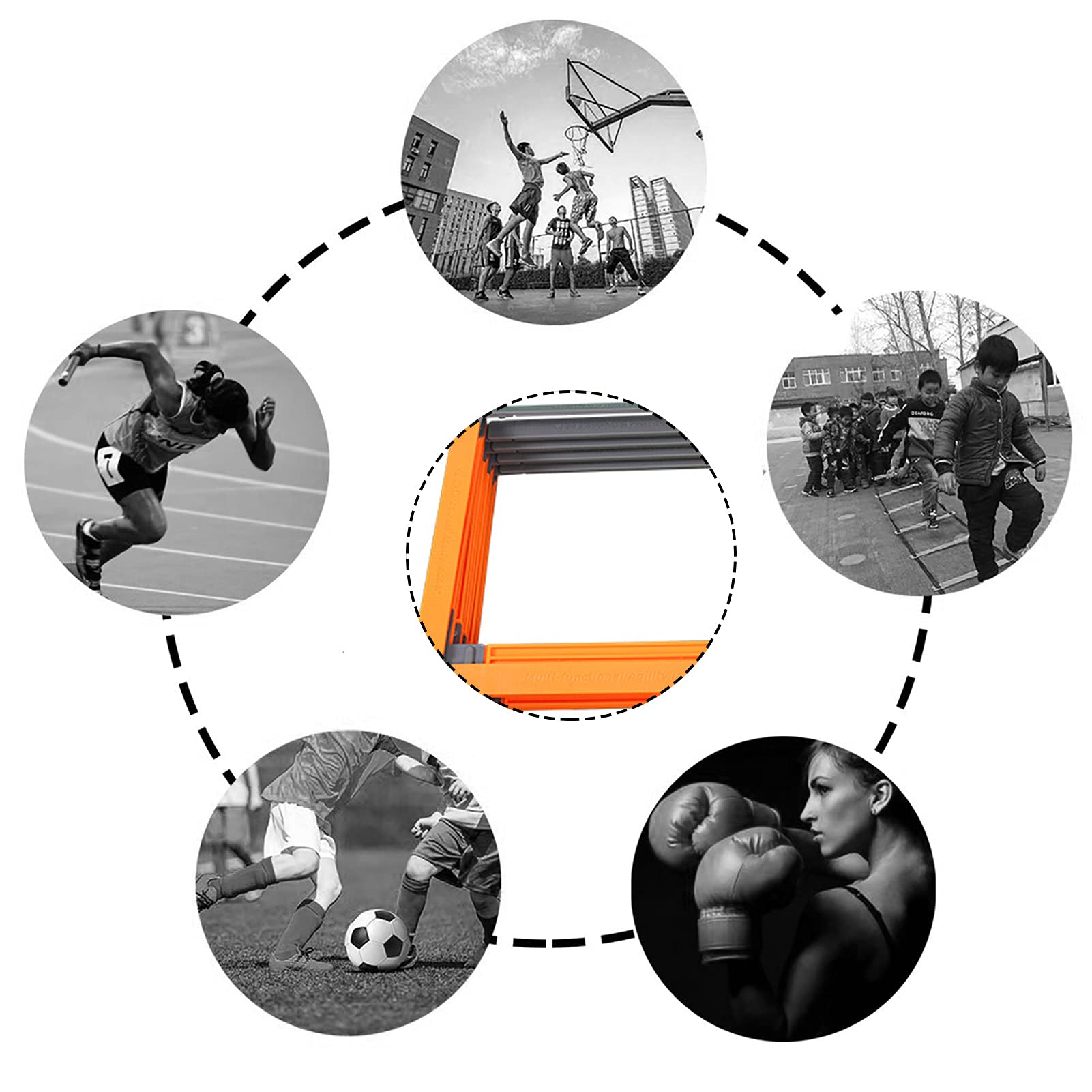 Agility Training Ladder